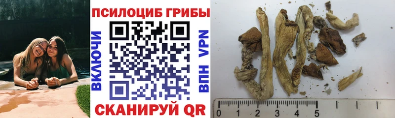 нарко площадка телеграм  Яблоновский  Галлюциногенные грибы GOLDEN TEACHER 